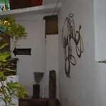 Cactus Guesthouse