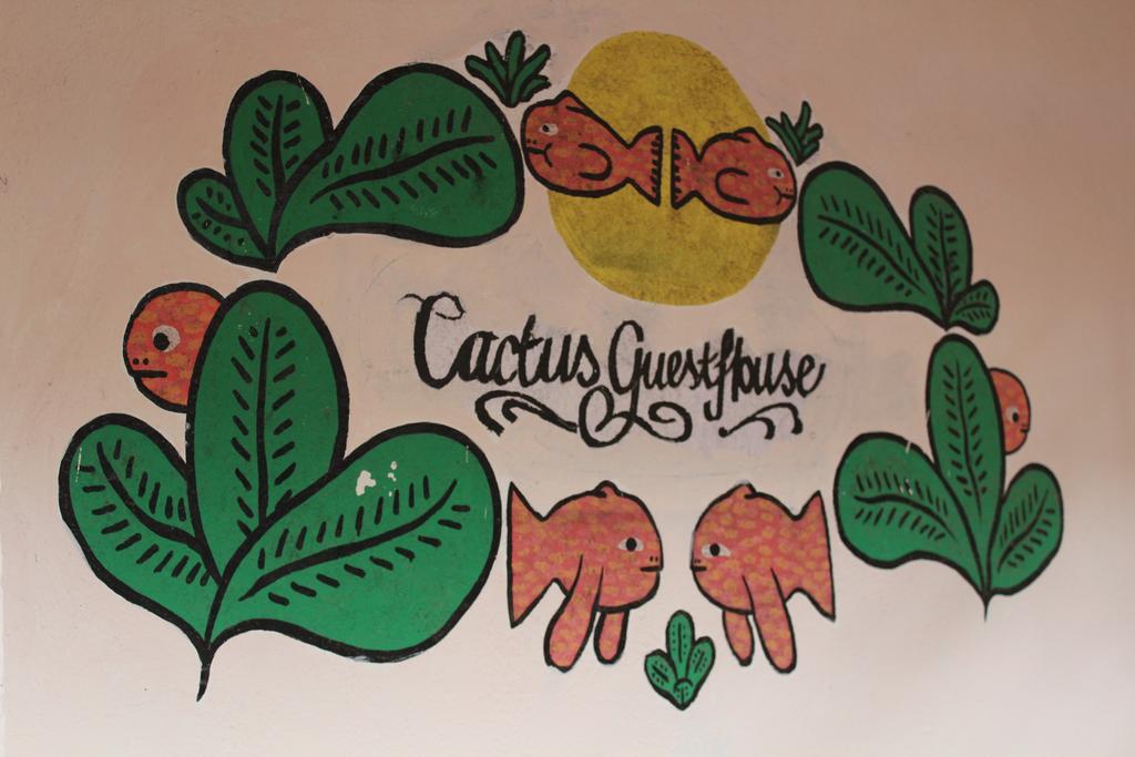 Cactus * Arambol