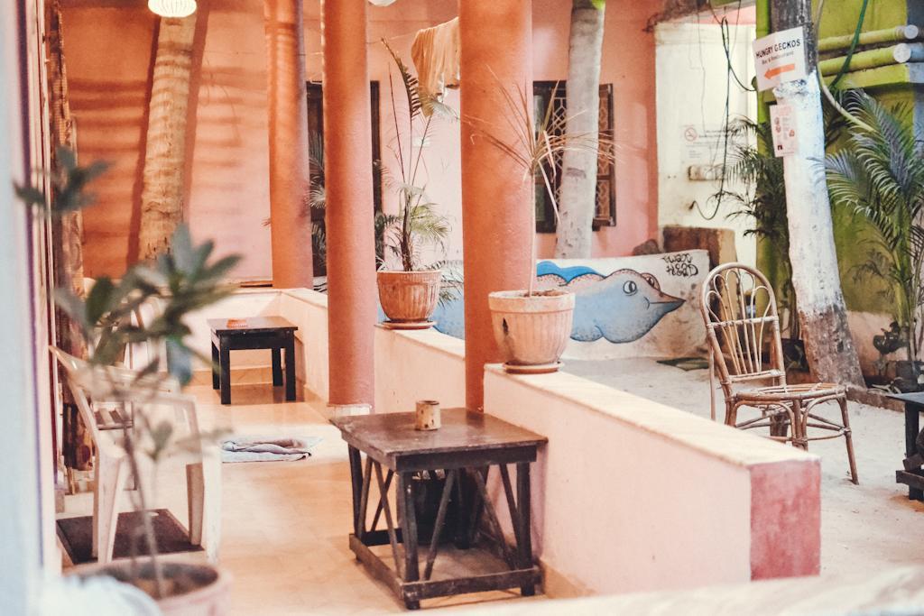 Guest house Cactus