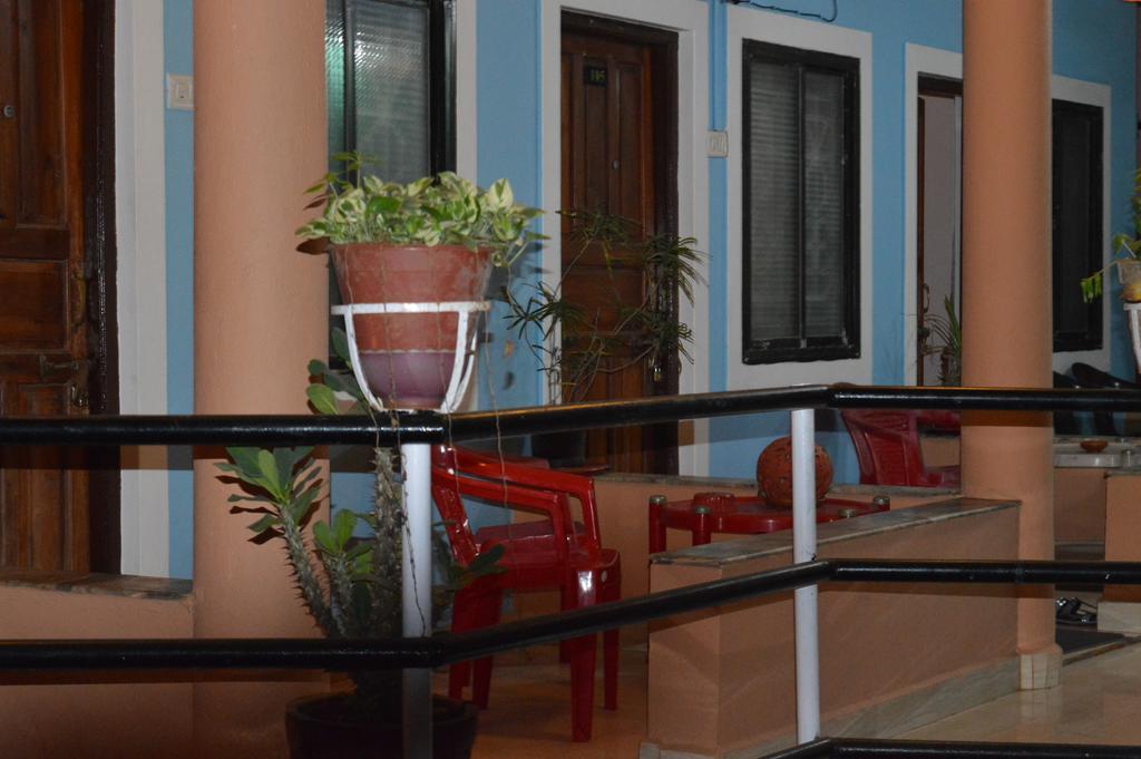 Cactus Guest house *