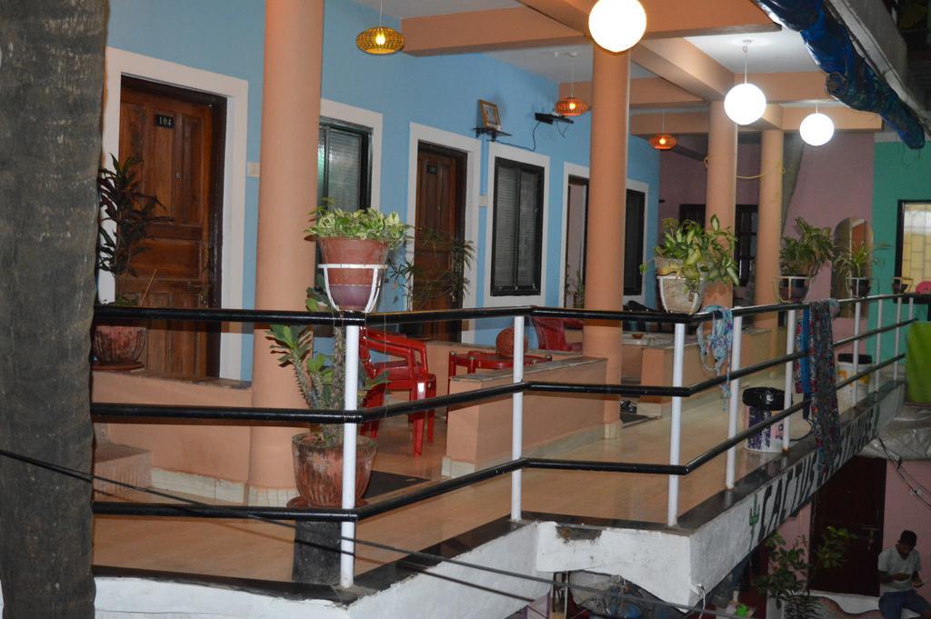 Guest house Cactus *
