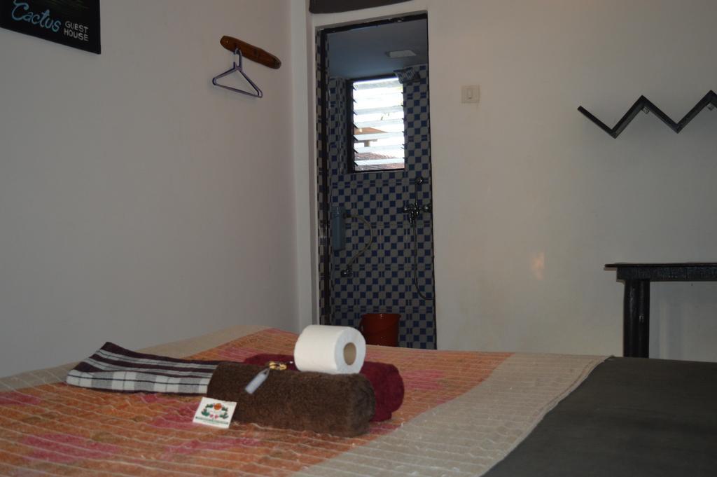 Cactus Guest house *