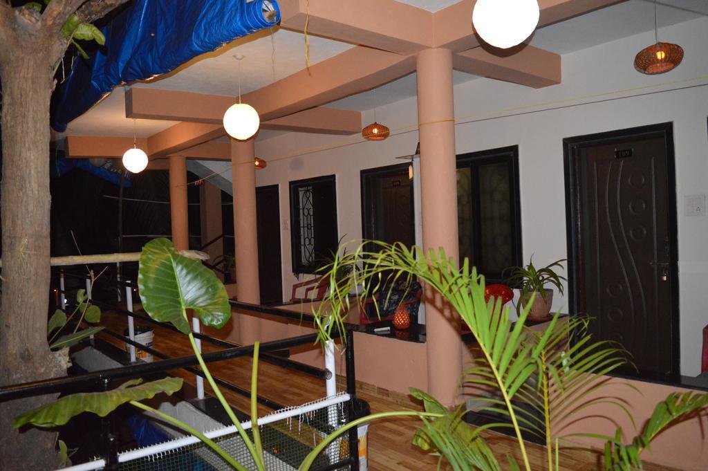 Guest house Cactus