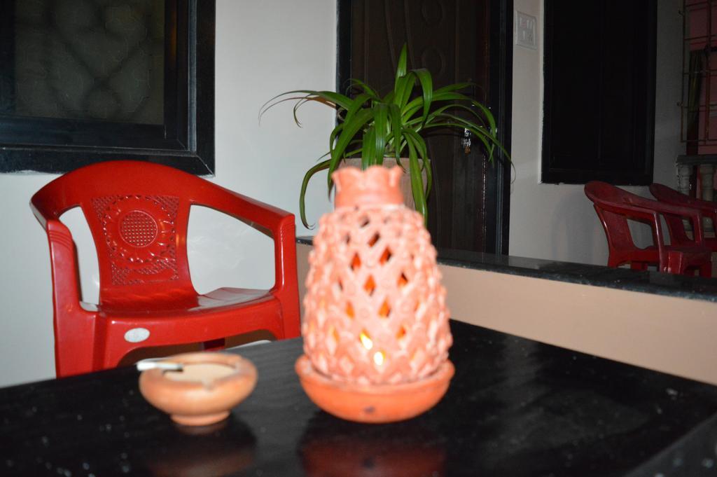 Cactus Arambol